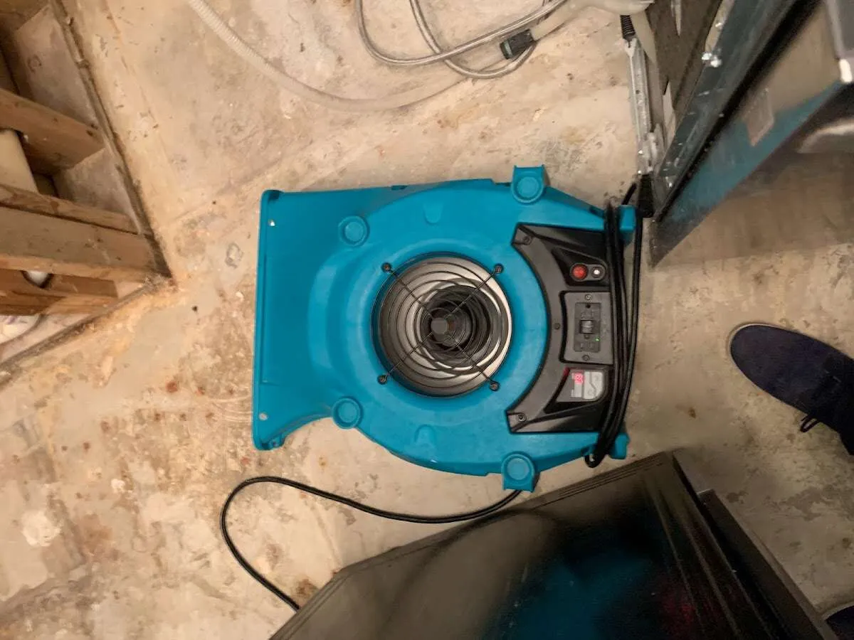 Air mover drying equipment for Mold Remediation & Removal in Ramsey